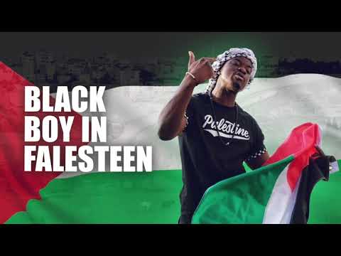 Jae Deen &amp; Waheeb Nasan - A Free Palestine (Lyric Video)