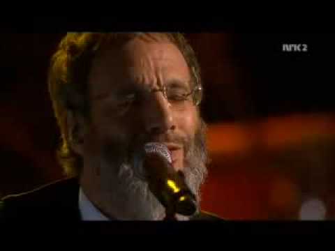 Yusuf Islam - Peace Train - OUTSTANDING!